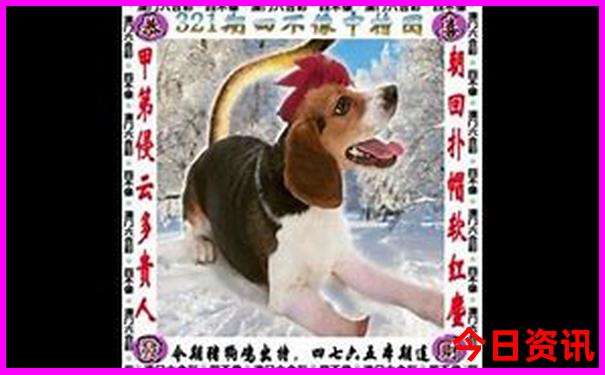 广西旅游几月份去合适